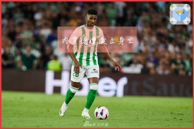 内贾德遭袭击身亡