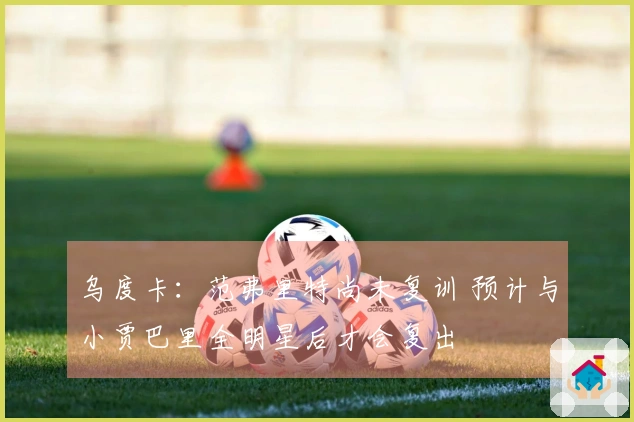 乌度卡：范弗里特尚未复训 预计与小贾巴里全明星后才会复出