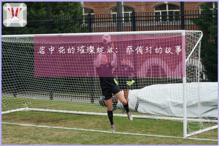 岩中花的璀璨绽放：蔡侑玎的故事