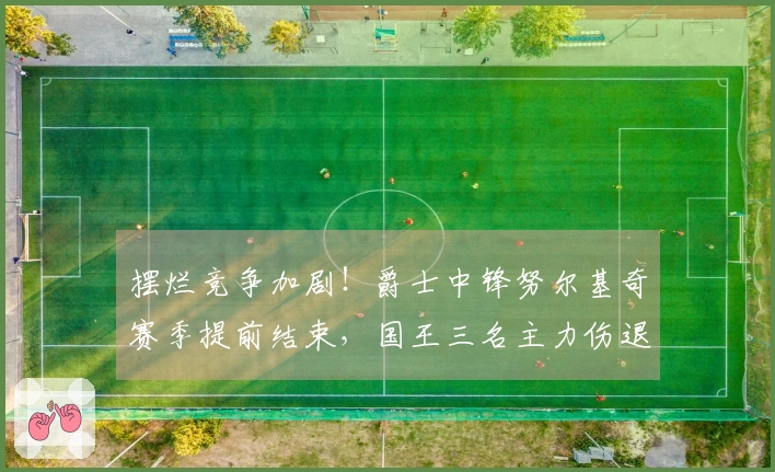 摆烂竞争加剧!爵士中锋努尔基奇赛季提前结束,国王三名主力伤退